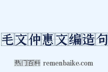 毛文仲惠文编造句是什么意思的图片